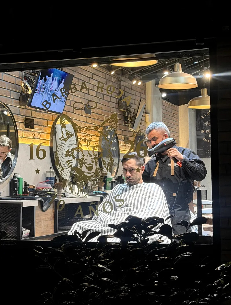 Vitrina con vinilo dorado del lobo celebrando 10 años, 2016 a 2026